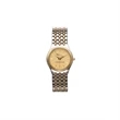 Executive Two-Tone Watch