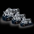 Raging Bull Award on Black Base