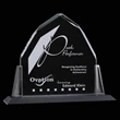 Avalon Award - Pewter