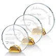 Maplin Award - Amber