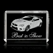 Fulton (Horizontal) Award - 3D