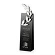 Camborne Award - Silver