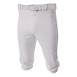 Youth Baseball Knicker Pant