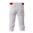 Youth Baseball Knicker Pant
