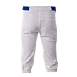 Youth Baseball Knicker Pant
