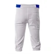Youth Baseball Knicker Pant