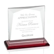 Tanner Award - Red