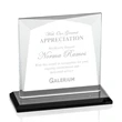 Tanner Award - Black