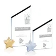 Cooper Award -  Star Starfire