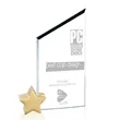 Cooper Award -  Star Starfire