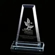 Regency Tower Award - Starfire