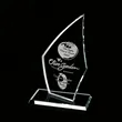 Curved Arrowhead Award
