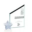 Cooper Award - Star Jade