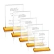 Vitalia Award - Amber