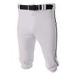 Youth Baseball Knicker Pant