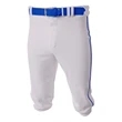Youth Baseball Knicker Pant