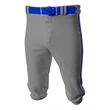Youth Baseball Knicker Pant