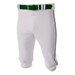 Youth Baseball Knicker Pant