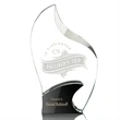 Cranfield Award - Black