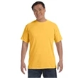 Comfort Colors Adult Heavyweight T-Shirt
