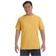 Comfort Colors Adult Heavyweight T-Shirt