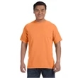 Comfort Colors Adult Heavyweight T-Shirt