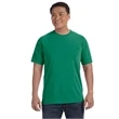 Comfort Colors Adult Heavyweight T-Shirt