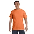 Comfort Colors Adult Heavyweight T-Shirt