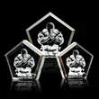 Genosee Award - 3D