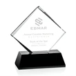 Nicolina Award - Black