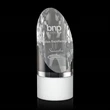 Faccini Award