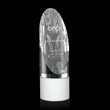 Faccini Award
