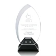 Vulcan Award
