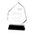 Warner Award - Black