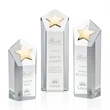 Dorchester Star Award - Clear/Gold