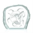 Agility Award