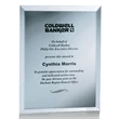 Mirror Plaque - Silver