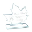 Arcadia Award