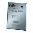 Mirror Plaque - Silver