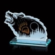 Forest Encounter (Bear) Award