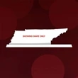 State Map Award -  Tennessee