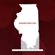 State Map Award -  Illinois