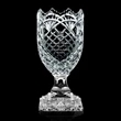 Guildford Trophy Award