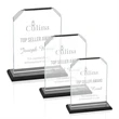 Waterford Award - Black