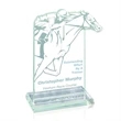 Steeplechase Award