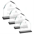 Montibello Award - Black
