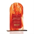Star Arch Fusion Award