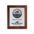 Screenprint Aluminum - Walnut/Cove Edge