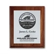 Screenprint Aluminum - Walnut/Cove Edge