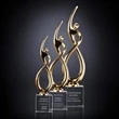 Continuum Award on Optical - Gold